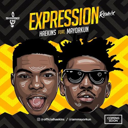 Haekins ft. Mayorkun - Expression (Remix)