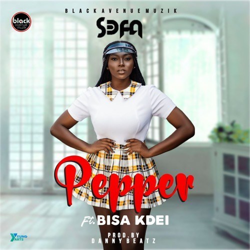 Sefa ft. Bisa Kdei - Pepper (prod. by Danny Beatz)