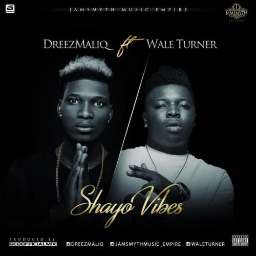 Dreezmaliq ft. Wale Turner - Shayo Vibes