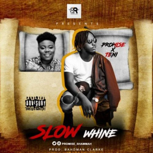 Promise ft. Teni - Slow Whine