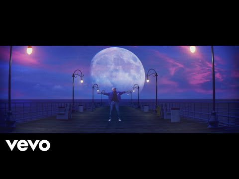 VIDEO: Chris Brown - Undecided