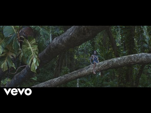 VIDEO: Zayn - Satisfaction