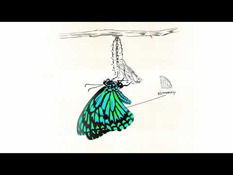 DOWNLOAD MP3: Kehlani - Butterfly