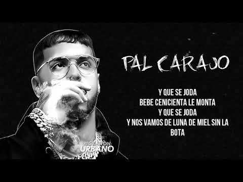 DOWNLOAD MP3: Pal Carajo - Anuel AA