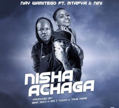 Nay Wa Mitego ft. Mtafya & Nini - Nishaachaga