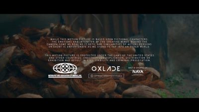 VIDEO: Oxlade - Shugar