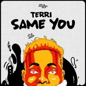 (INSTRUMENTAL) Terri - Same You