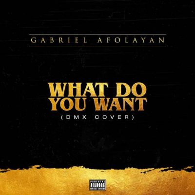 Gabriel Afolayan - What Do You Want (DMX Cover)