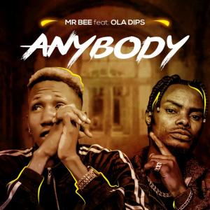 Mr Bee - Anybody Ft. OlaDips