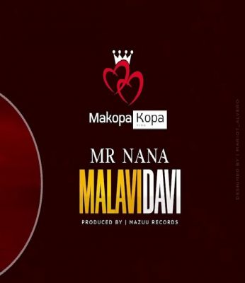 Mr Nana - Malavidavi