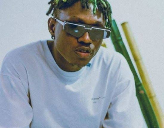 Your Father is Dumb – Zlatan Tells Oluwa Tobi