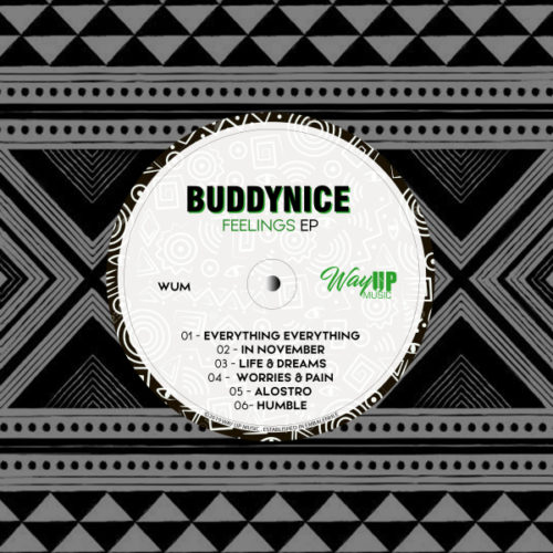 Buddynice - Worries & Pain (Redemial Dub)