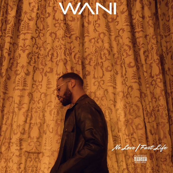WANI Ft. Minz - Fast Life
