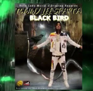 Tommy Lee Sparta - Black Bird