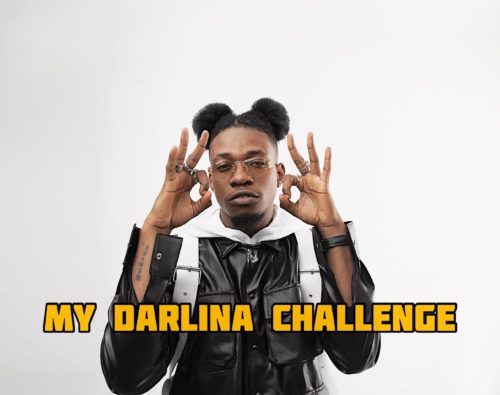 INSTRUMENTAL: King Perryy - My Darlina (Free Beat / Verse)