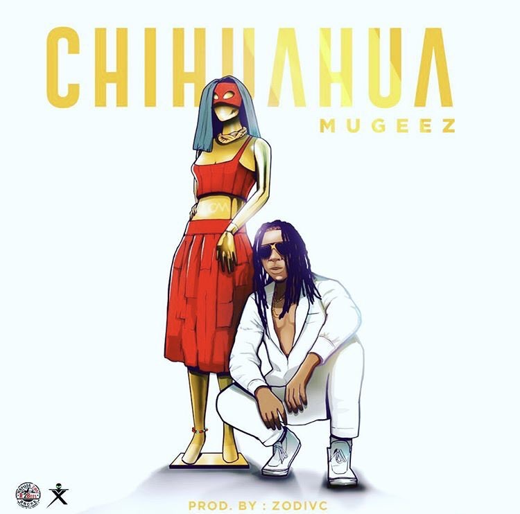 Mugeez (R2Bees) - Chihuahua