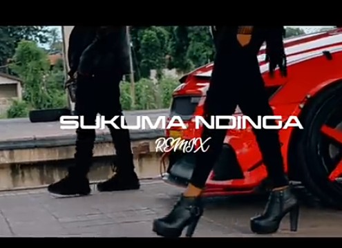 Rosa Ree - Sukuma Ndinga (Remix) Ft. Rayvanny Mp3 Audio Download