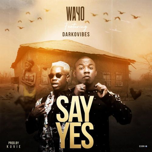 Wayo - Say Yes Ft. Darkovibes