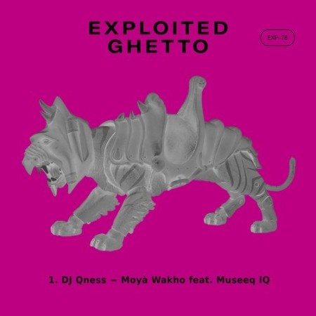 DJ Qness - Moyà Wakho Ft. Museeq IQ Mp3
