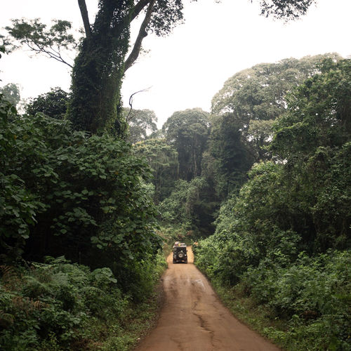 Gemma Griffiths - Ndinewe Mp3 Mp4 Download