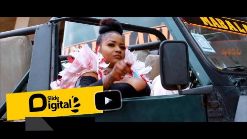 Shilole - Pindua Meza (Audio + Video) Mp3 Mp4 Download