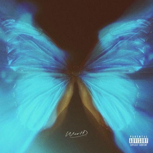 Wurld - Birthday Song & Palmwine Riddim Ft. Zeal (VVIP) Mp3