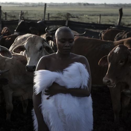 [FULL ALBUM] Zoe Modiga - Inganekwane Mp3 Zip Fast Download Free audio complete