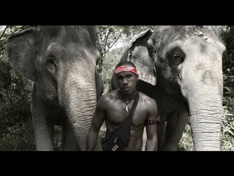 Hopsin - Kumbaya (Audio + Video) Mp3 Mp4 Download