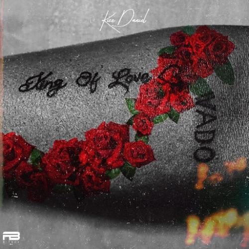 Kizz Daniel - Find A Bae Mp3 Audio Download