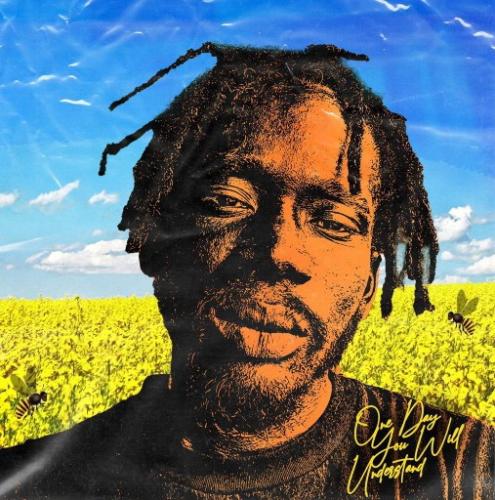 Mr Eazi - Baby Im Jealous Ft. King Promise Mp3 Audio Download