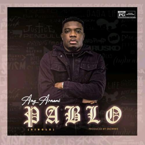AMG Armani - Pablo Mp3 Audio Download