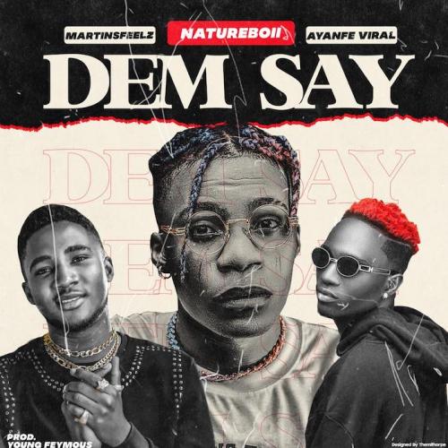 NatureBoii Ft. Ayanfe Viral x MartinsFeelz - Dem Say Mp3 Audio Download