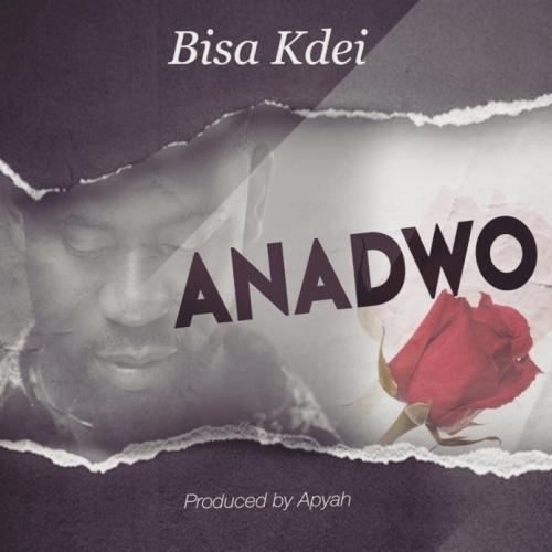 Bisa Kdei - Anadwo (Prod. by Apya) Mp3 Audio Download