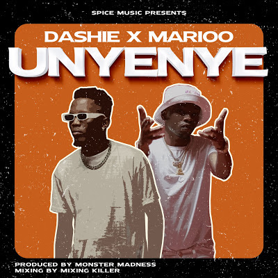 Dashie Ft. Marioo - Unyenye Mp3 Audio Download