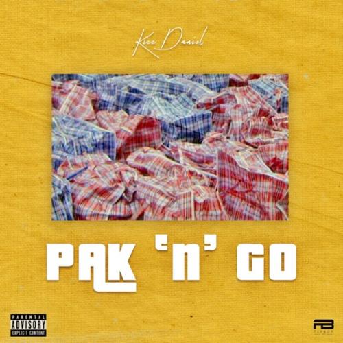 Pack and Go Kizz Daniel - Pak n Go Mp3 Audio Download