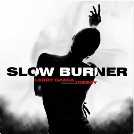 Larry Gaaga Ft. Joeboy – Slow Burner (Audio + Video)