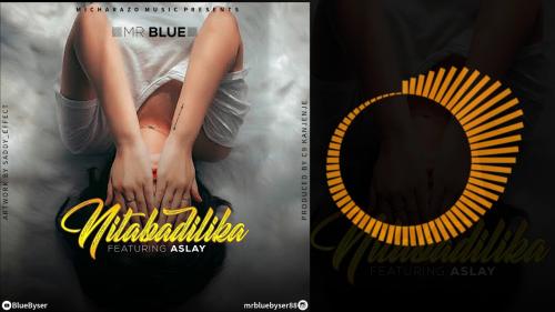 Mr Blue Ft. Aslay - NIMEBADILIKA Mp3 Audio Download