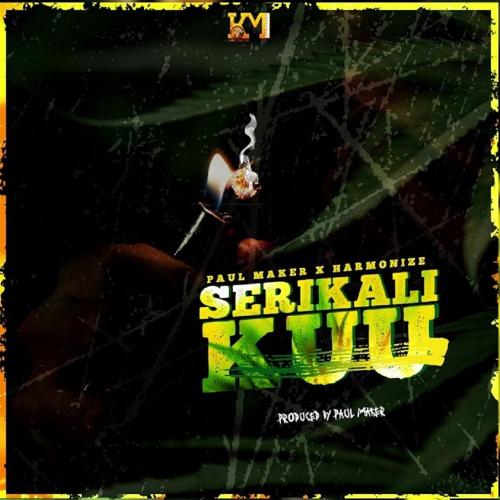 Paul Maker - Serikali Kuu Ft. Harmonize Mp3 Audio Download