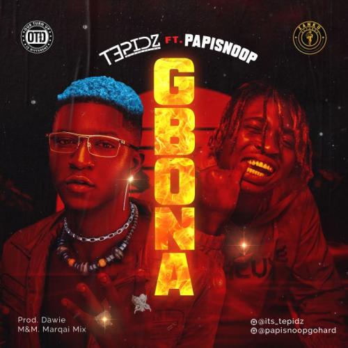 Tepidz Ft. Papisnoop - Gbona Mp3 Audio Download