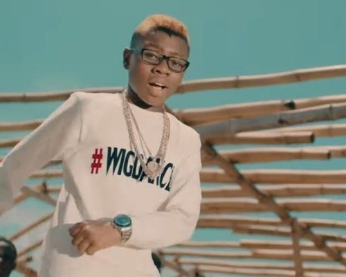 VIDEO: Ozzybee & Zlatan - Wig Dance Mp4 Download