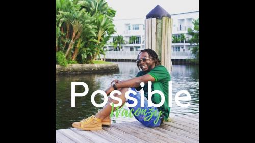Waconzy - Possible Mp3 Audio Download