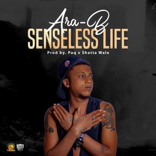 Ara-B - Senseless Life Mp3 Audio Download