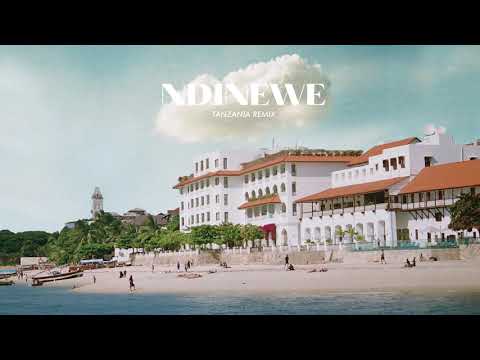 Gemma Griffin Ft. Linex & Barakah The Prince - Ndinewe (TZ Remix) Mp3 Mp4 Download