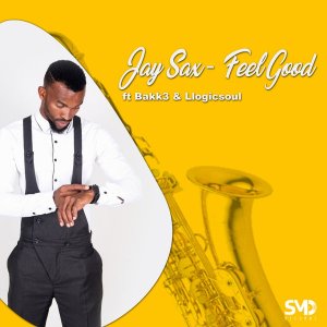 Jay Sax - Feel Good Ft. Bakk3, Llogicsoul Mp3 Audio Download