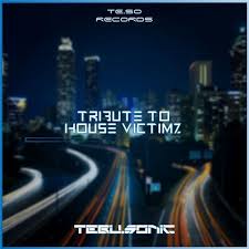 Tebu Sonic - Tribute to House Victimz Mp3 Audio Download
