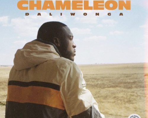 ALBUM: Daliwonga - Chameleon Zip Mp3 Download