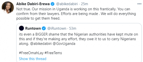 The Nigerian mission in Uganda is doing everything to get Omah Lay and Tems free- Abike Dabiri-Erewa