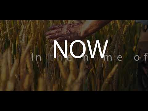 Ada Ehi - Now