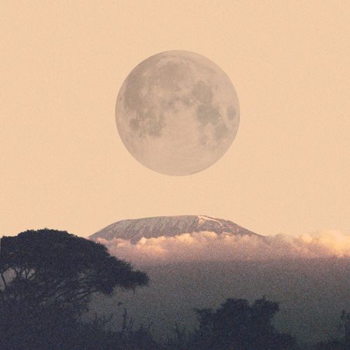 Gemma Griffiths - Iwe