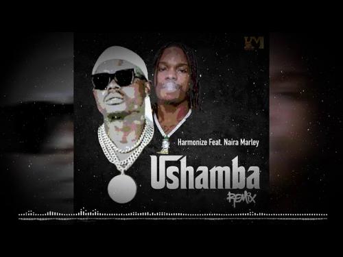 Harmonize Ft. Naira Marley - Ushamba (Remix)